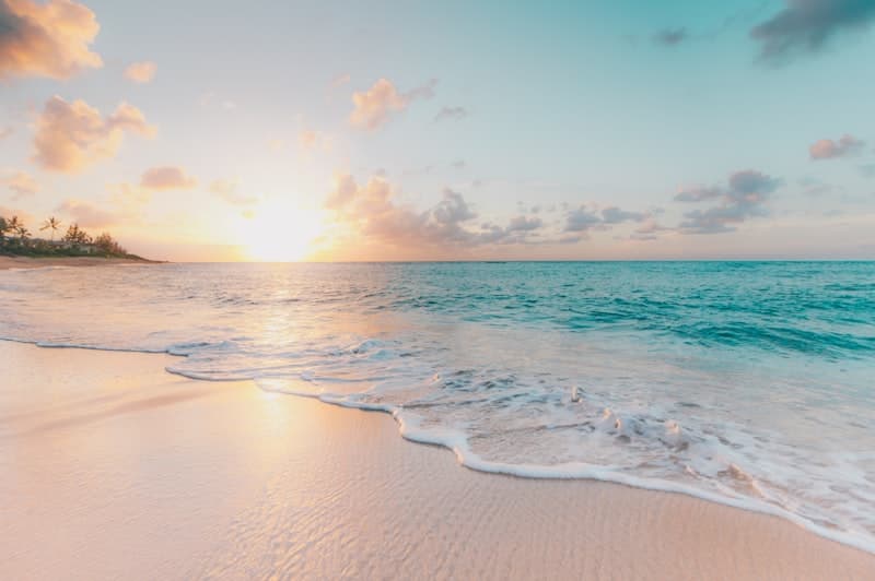 Group of friends walking on the beach